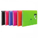 Acordeón Plástico Tamaño Carta  12Div